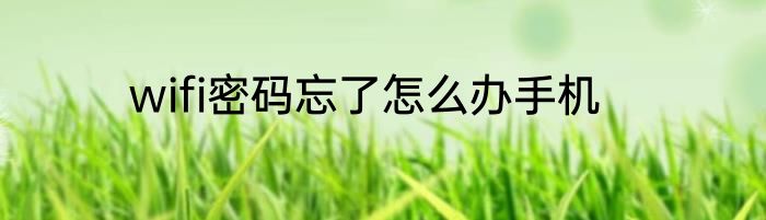 wifi密码忘了怎么办手机