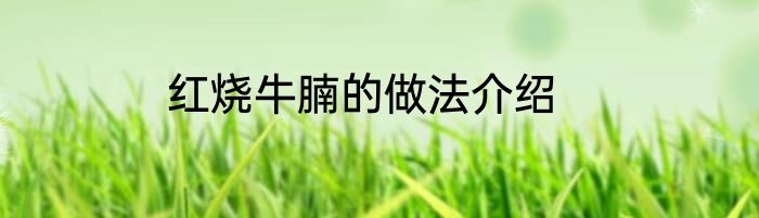 红烧牛腩的做法介绍