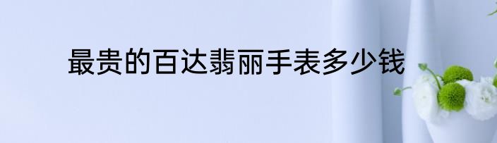 最贵的百达翡丽手表多少钱