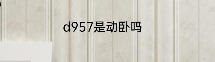 d957是动卧吗