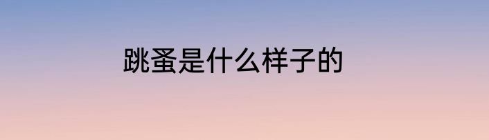 跳蚤是什么样子的