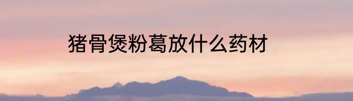 猪骨煲粉葛放什么药材