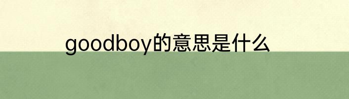 goodboy的意思是什么