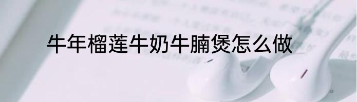 牛年榴莲牛奶牛腩煲怎么做