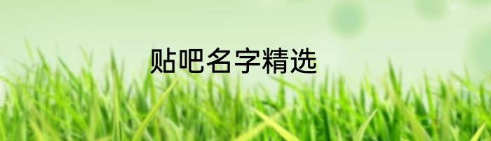 贴吧名字精选