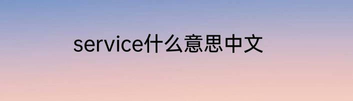 service什么意思中文