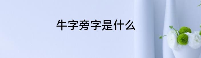 牛字旁字是什么