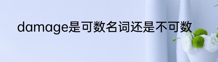 damage是可数名词还是不可数