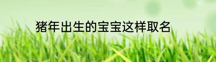 猪年出生的宝宝这样取名
