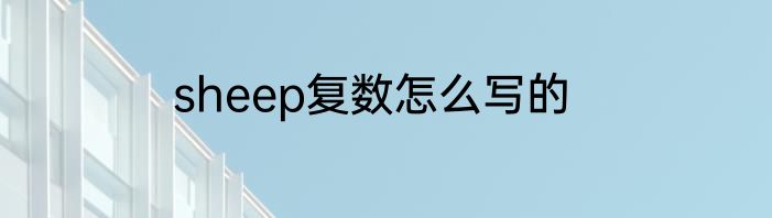 sheep复数怎么写的