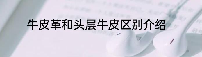 牛皮革和头层牛皮区别介绍