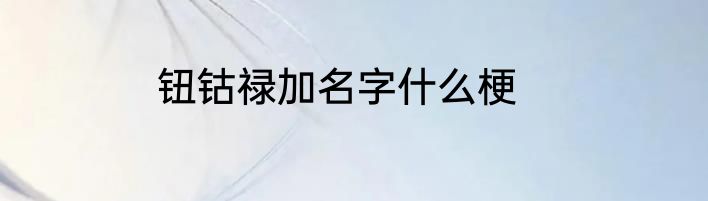 钮钴禄加名字什么梗