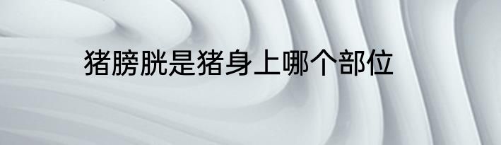 猪膀胱是猪身上哪个部位