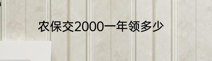 农保交2000一年领多少
