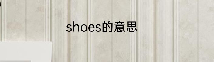 shoes的意思