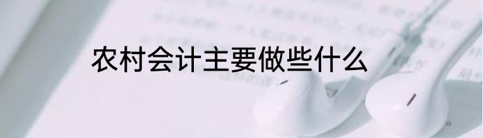 农村会计主要做些什么