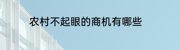 农村不起眼的商机有哪些