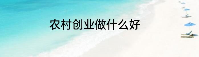 农村创业做什么好