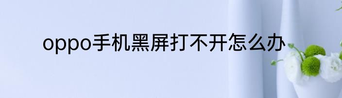 oppo手机黑屏打不开怎么办