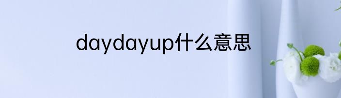 daydayup什么意思
