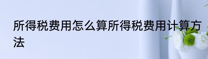 所得税费用怎么算所得税费用计算方法