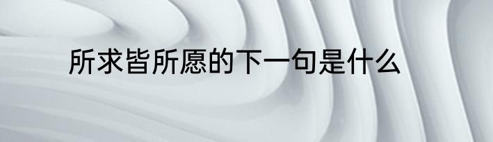所求皆所愿的下一句是什么