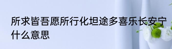 所求皆吾愿所行化坦途多喜乐长安宁什么意思
