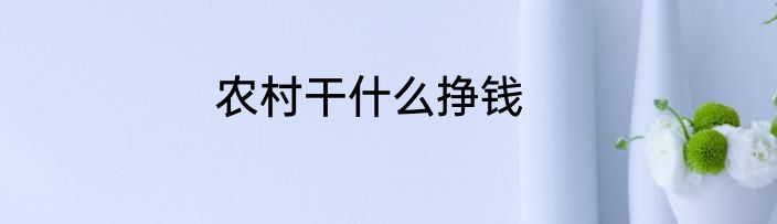 农村干什么挣钱