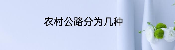 农村公路分为几种
