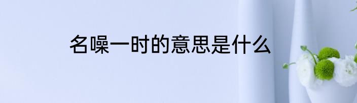 名噪一时的意思是什么