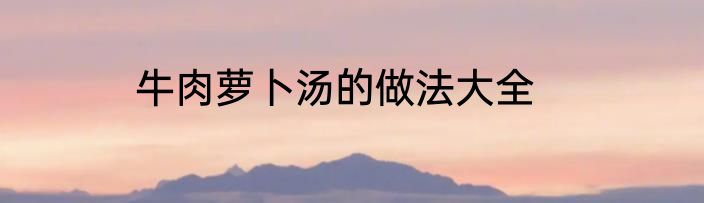 牛肉萝卜汤的做法大全