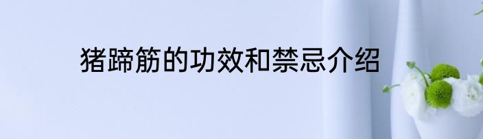 猪蹄筋的功效和禁忌介绍