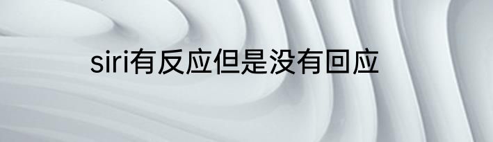 siri有反应但是没有回应