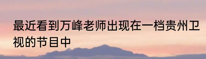 最近看到万峰老师出现在一档贵州卫视的节目中