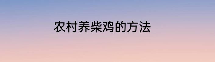 农村养柴鸡的方法