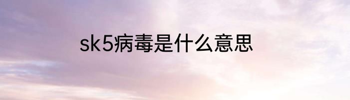 sk5病毒是什么意思