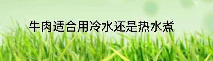 牛肉适合用冷水还是热水煮