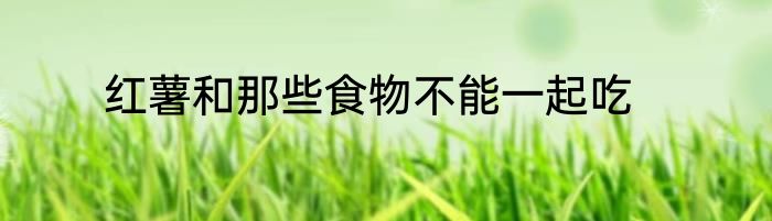 红薯和那些食物不能一起吃