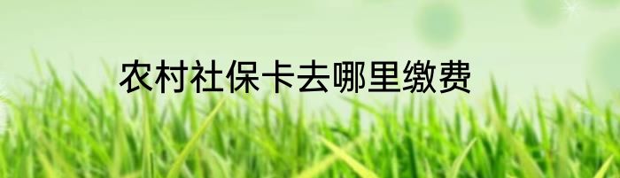 农村社保卡去哪里缴费