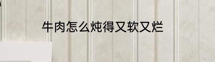 牛肉怎么炖得又软又烂