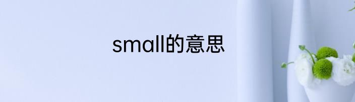 small的意思