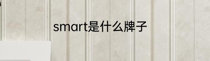 smart是什么牌子