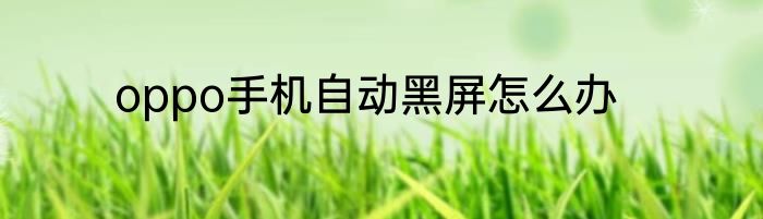 oppo手机自动黑屏怎么办
