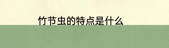 竹节虫的特点是什么