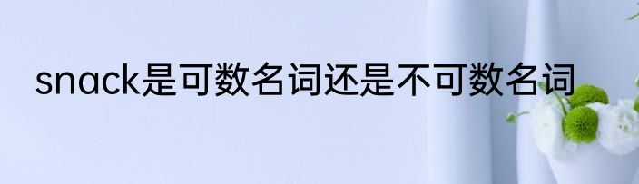snack是可数名词还是不可数名词
