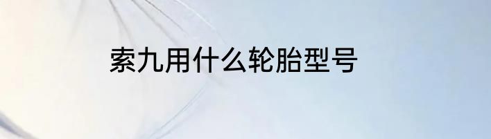 索九用什么轮胎型号