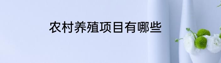 农村养殖项目有哪些
