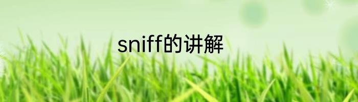 sniff的讲解