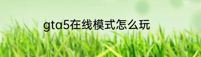 gta5在线模式怎么玩