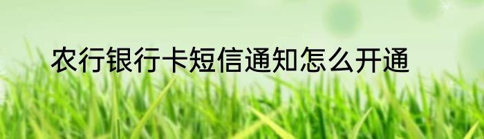 农行银行卡短信通知怎么开通